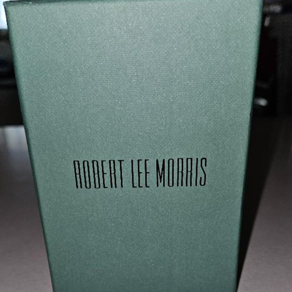 NWT Robert Lee Morris faux turquoise silver earrings. Pretty! - Picture 4 of 4